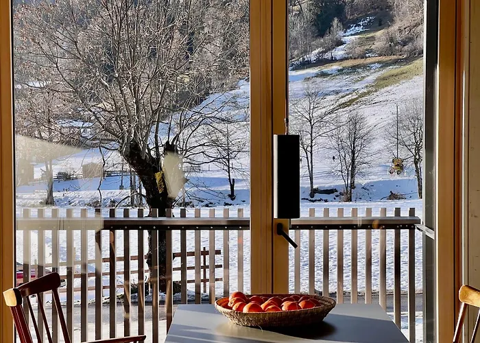 Bio Design Graue Schaf - Kaernten Card Im Sommer Inklusive Apartman